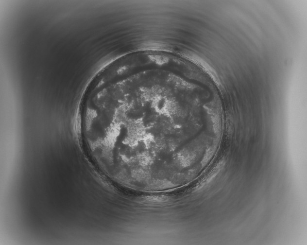 X0000101391125200807211007