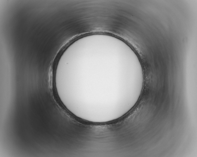 X0000101391126200807211007