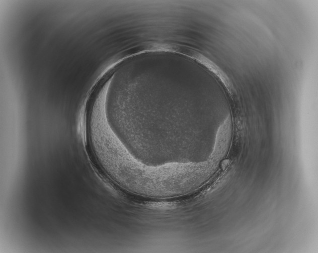 X0000101391127200807211007