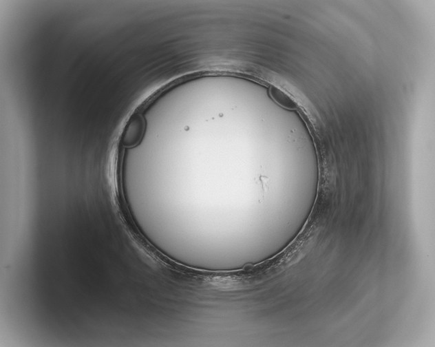 X0000101391128200807211007