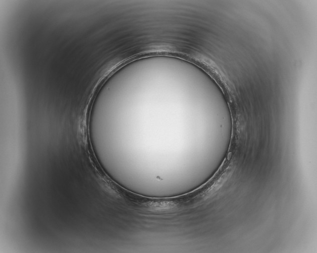 X0000101391129200807211007