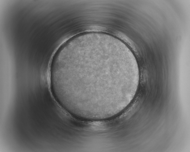 X0000101391130200807211008