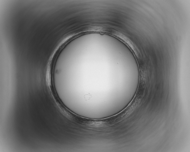 X0000101391131200807211008