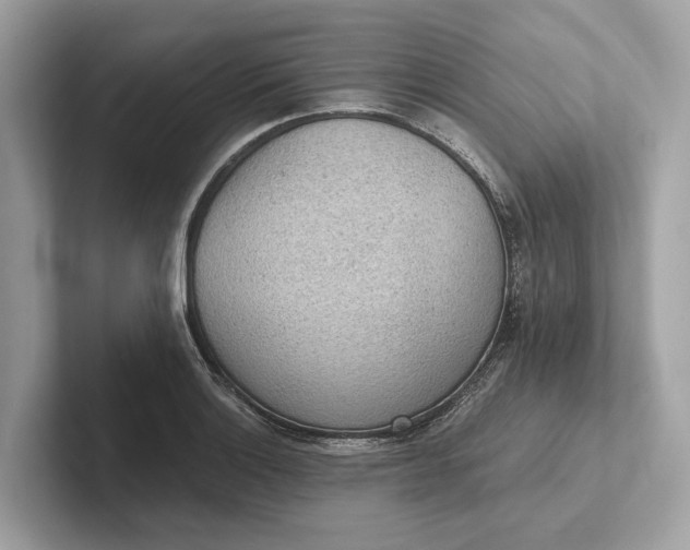 X0000101391132200807211008