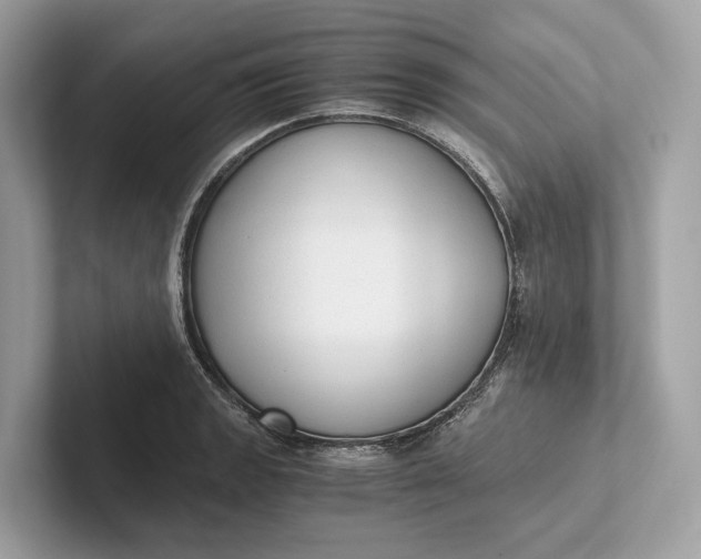 X0000101391133200807211008