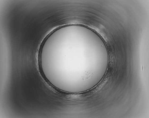 X0000101391134200807211008