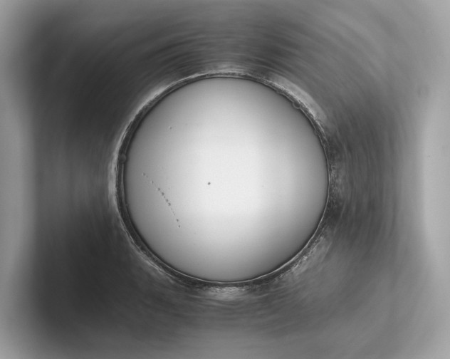 X0000101391135200807211008