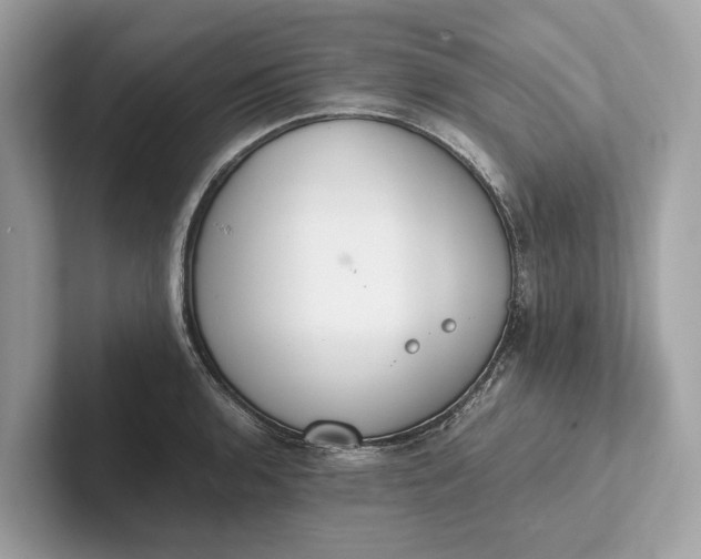 X0000101391136200807211008