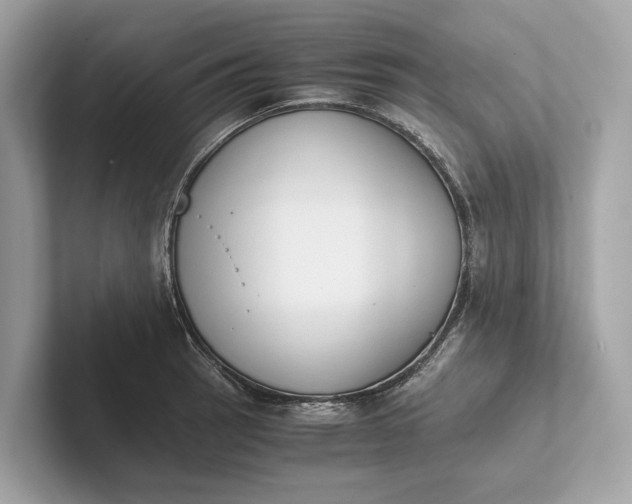 X0000101391137200807211008