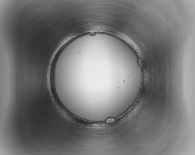 X0000101391138200807211008