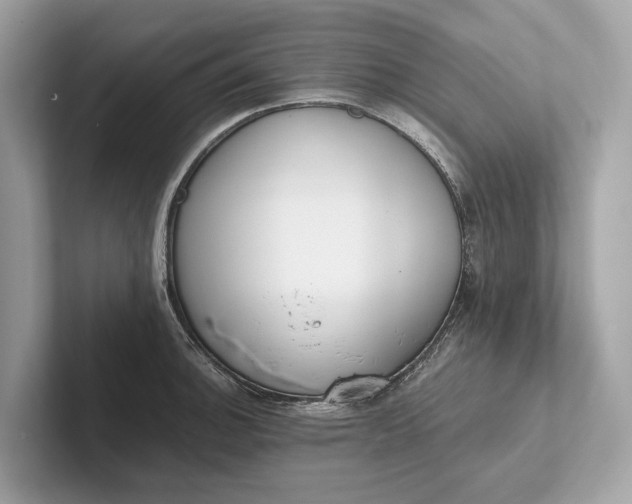 X0000101391140200807211008