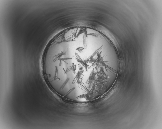 X0000101391141200807211008