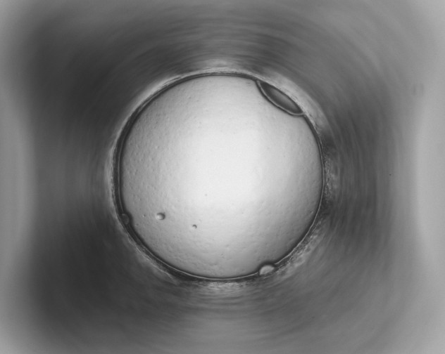 X0000101391142200807211008