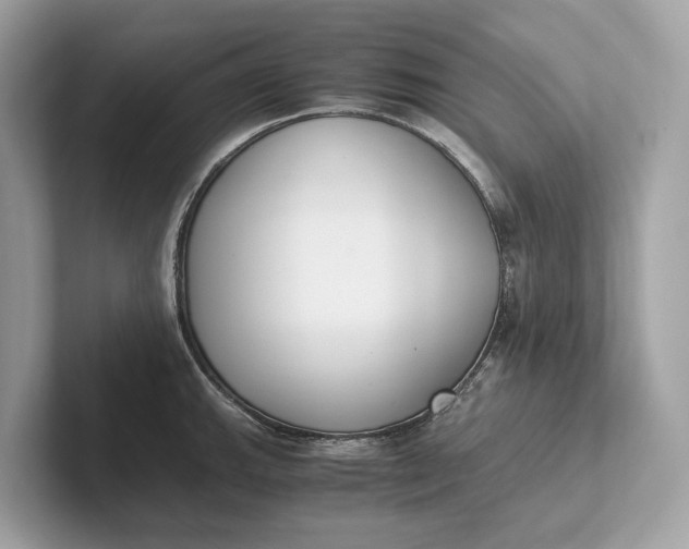 X0000101391143200807211008