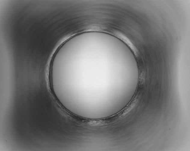 X0000101391146200807211008