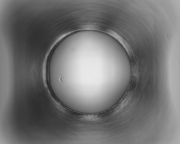 X0000101391147200807211008