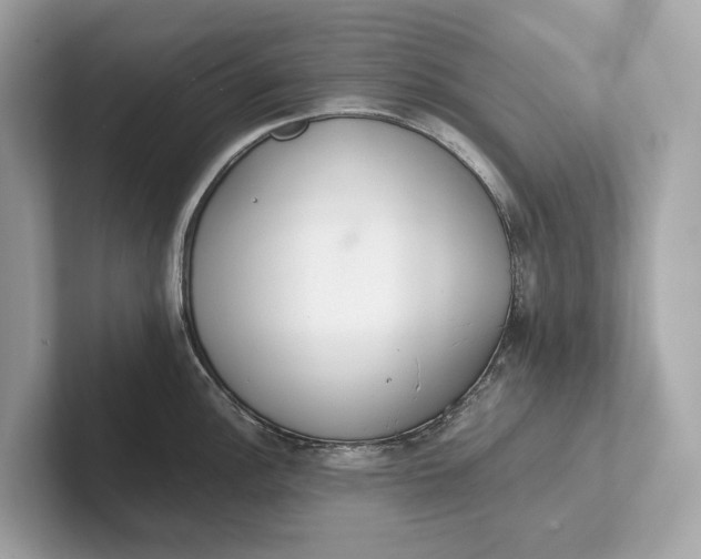 X0000101391148200807211008