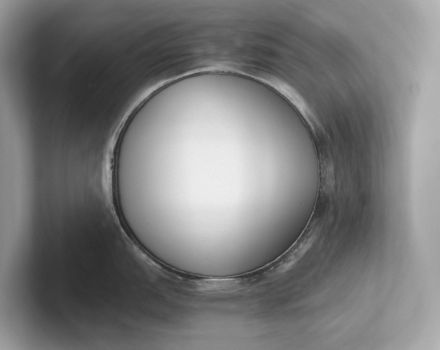 X0000101391151200807211008