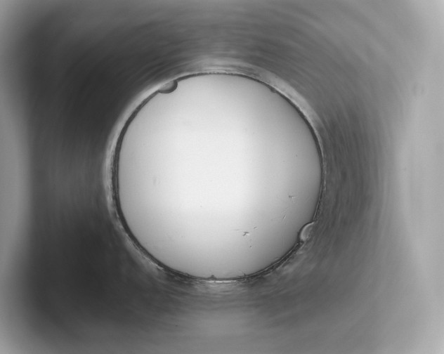 X0000101391152200807211008