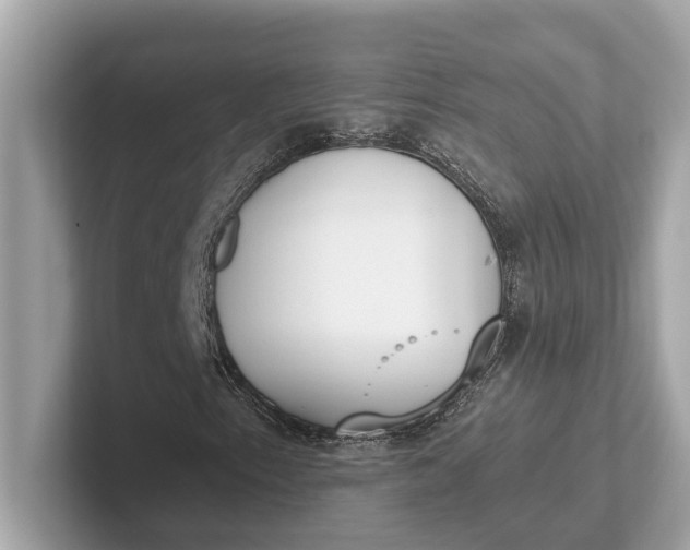 X0000101391153200807211007