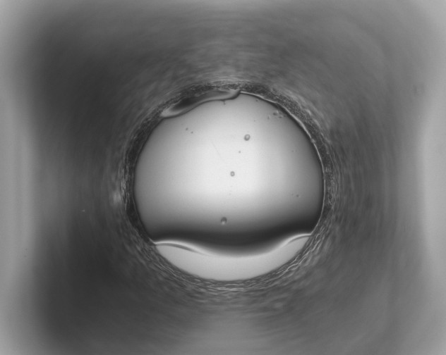 X0000101391157200807211007