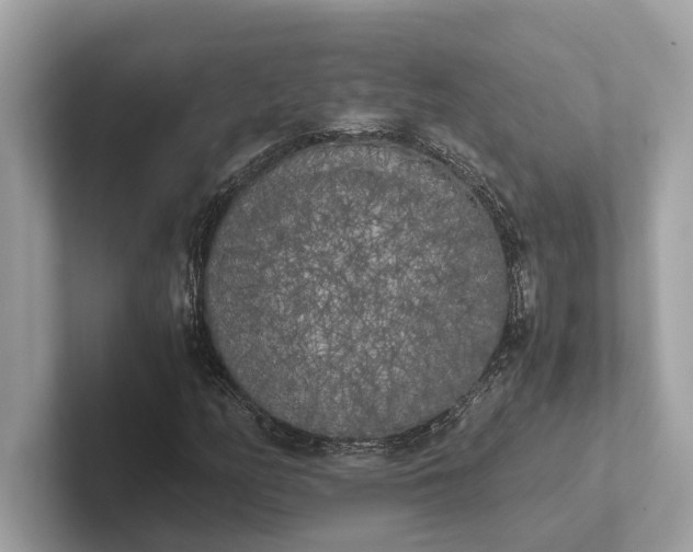 X0000101391158200807211007