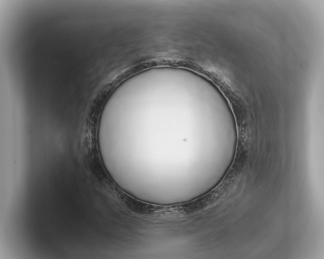 X0000101391159200807211007