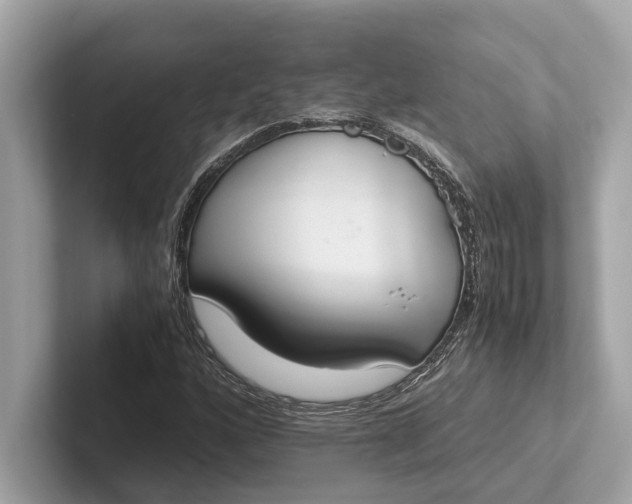 X0000101391160200807211007