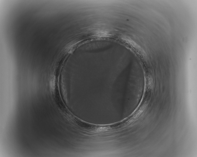 X0000101391161200807211007