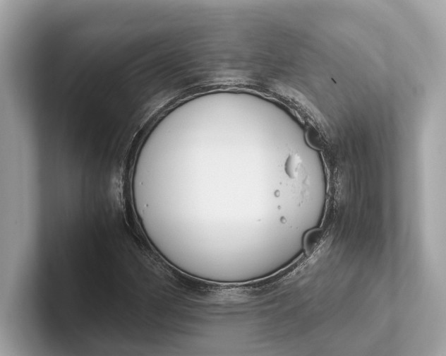 X0000101391162200807211007