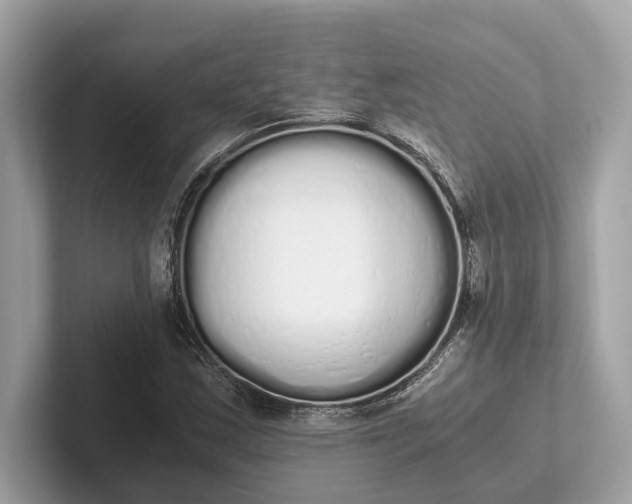 X0000101391163200807211007