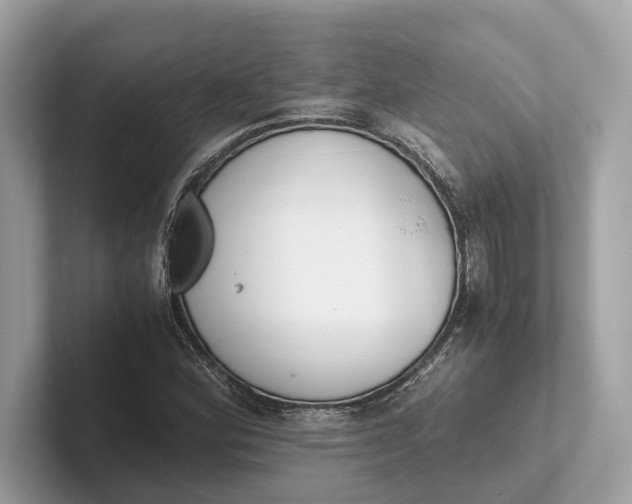 X0000101391164200807211007