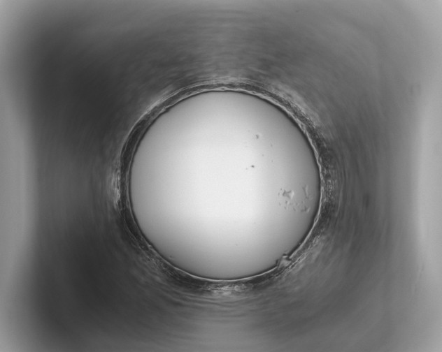 X0000101391165200807211007