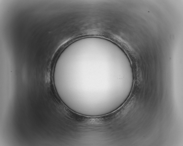 X0000101391166200807211007