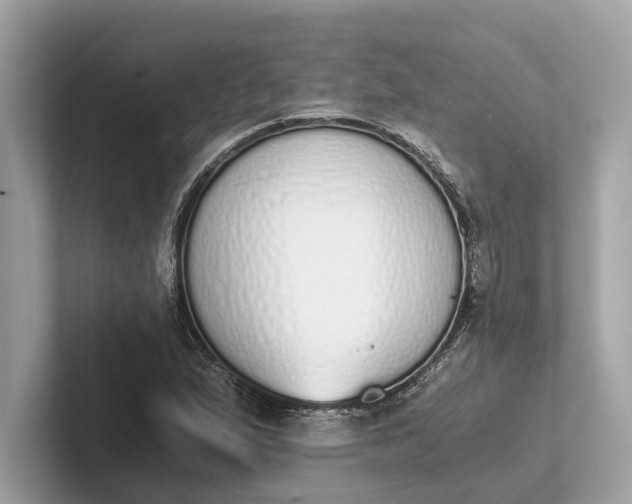 X0000101391167200807211007