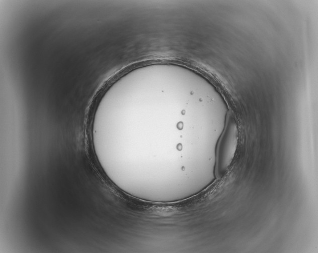 X0000101391168200807211007