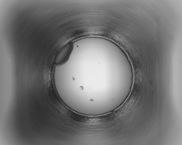 X0000101391169200807211007