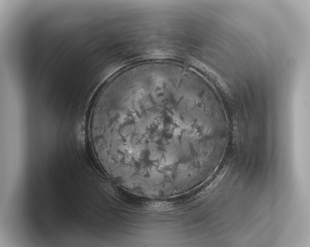 X0000101391170200807211007