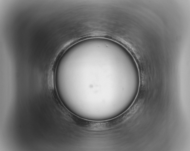 X0000101391171200807211007