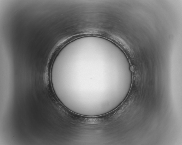 X0000101391172200807211007