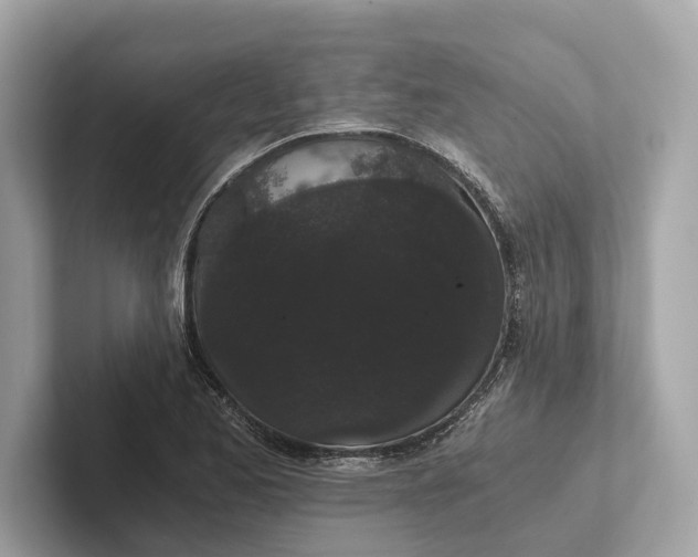 X0000101391173200807211007