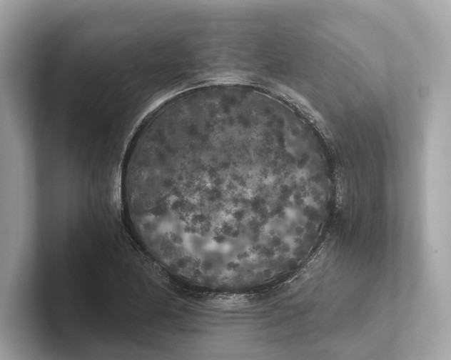 X0000101391174200807211007