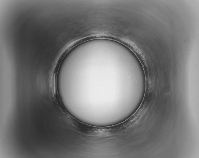 X0000101391175200807211007