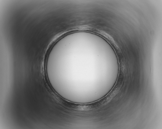 X0000101391176200807211007