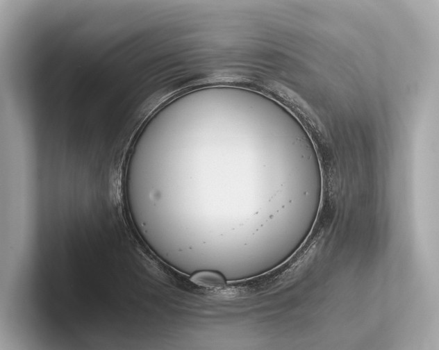 X0000101391177200807211007