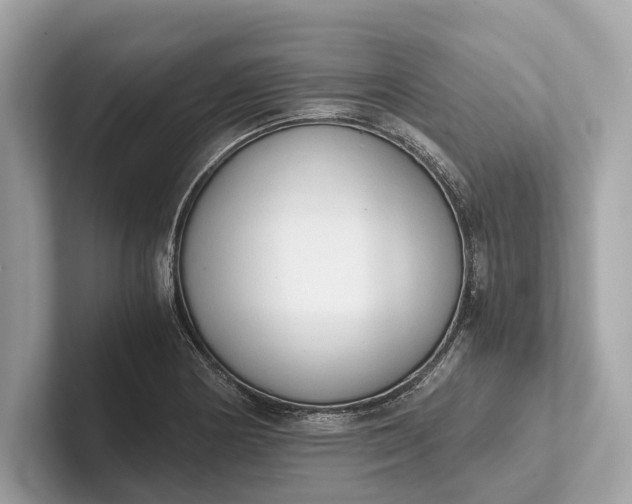 X0000101391178200807211007