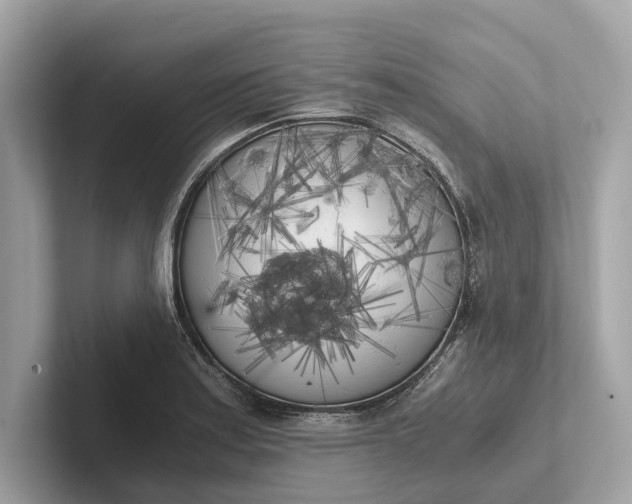 X0000101391179200807211007