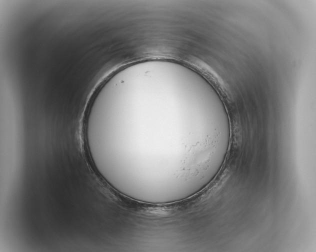 X0000101391182200807211007