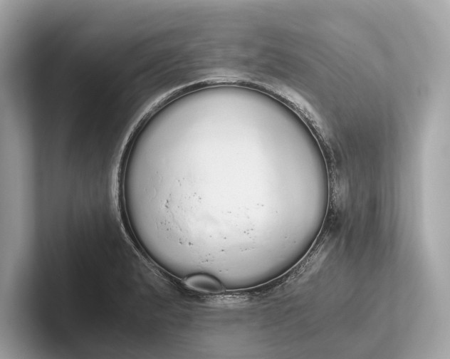 X0000101391183200807211007