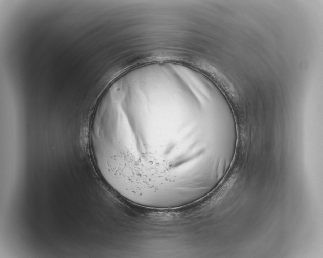 X0000101391185200807211007